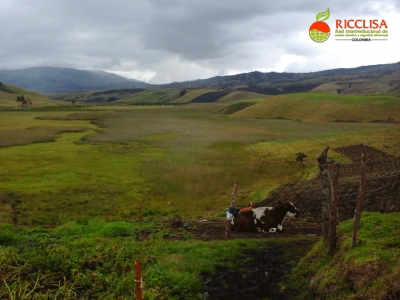 Ricclisa evalúa las condiciones de oferta ambiental en coberturas naturales a lo largo de la CARC
