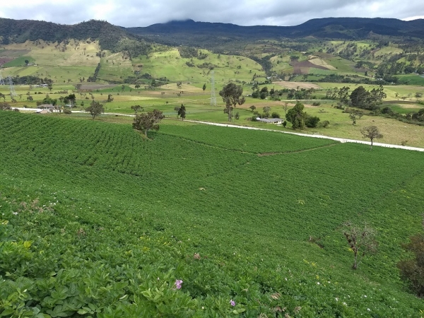 Visita técnica al Valle de Malvazá en el Cauca, para la actualización de los mapas de clasificación y uso del suelo.